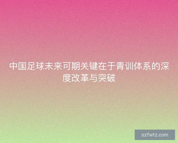 中国足球未来可期关键在于青训体系的深度改革与突破